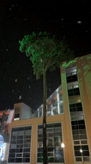 Heavy snowfall blankets Tyumen, Russia during evening hours