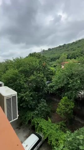 This is a vertical video with an outdoor scene. The foreground features a portion of a white air conditioning unit and an orange railing, suggesting a balcony or window view. Below, a white van is parked on a paved surface partially obscured by lush green foliage.

The main subject of the video is a dense canopy of green trees, with varying shades of green indicating different types of vegetation. In the background, a rolling hill covered in trees rises, with a few buildings and a telecommunications tower visible on its crest. The sky is overcast with dramatic, heavy grey clouds, hinting at impending rain or a stormy day. The overall impression is one of a natural, somewhat wild setting, possibly a suburban or rural area, with a sense of being enveloped by nature. The lighting is diffused due to the cloud cover, suggesting it is daytime, likely late morning or afternoon. No people are visible in the frame. There is no visible text. The location context provided is Svishtov, Bulgaria.