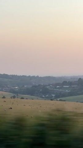 The video is a vertical, landscape-oriented shot of a rural scene at dusk. The sky is a soft gradient of pale pink and orange. In the mid-ground, a cluster of houses with red-tiled roofs is visible nestled amongst green trees on rolling hills. A field of dry, yellow grass occupies the foreground, with several sheep scattered throughout. The video appears to be filmed from a moving vehicle, as the foreground is blurred, indicating motion. The overall impression is one of peaceful, rural tranquility at the end of the day.