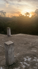 Sunrise captured over forest canopy in Karandugoda, Sri Lanka