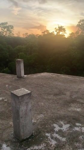 Sunrise captured over forest canopy in Karandugoda, Sri Lanka