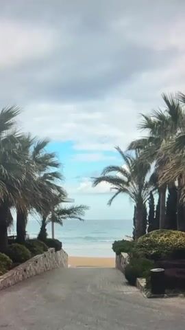 This media file captures a scenic view of a pathway leading to a beach and the ocean. The pathway is paved with grey bricks and lined with stone walls and lush greenery, including palm trees and manicured bushes. On the right side of the pathway, a dark-colored trash receptacle is visible.

In the distance, the ocean stretches out under a partly cloudy sky. The water appears to be a vibrant blue with gentle waves lapping onto the sandy shore. The sky is a mix of bright blue patches and grey clouds, suggesting a dynamic weather condition, possibly late morning or early afternoon.

A lone figure, a person, is walking down the pathway towards the beach, adding a sense of scale and human presence to the serene landscape. The overall mood conveyed is one of tranquility and natural beauty, perhaps evoking a vacation or a peaceful stroll by the sea.

There is no visible text in the media file. The location context provided is Eyüpsultan, Turkey, which suggests this view is from a coastal area in that region.