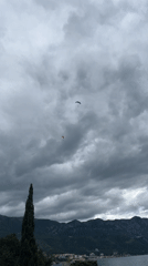 Morning scenes captured in Boreti: paragliders, girl walking, dogs meeting