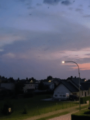 Summer twilight over Tczew streets, birds and streetlights.