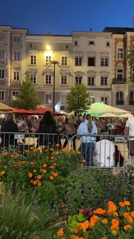 This is a vertical video showing a street scene at dusk or night. In the foreground, there is a dense patch of colorful flowers, primarily orange and green. Behind the flowers, a metal barrier separates the viewer from a crowd of people. In the background, there are buildings with multiple windows, illuminated by streetlights and lights from within the buildings. There is a large gathering of people in the street, some of whom appear to be dancing or watching a performance. Several white tents are visible in the distance, and a streetlamp is prominently lit in the center of the frame. The sky is dark blue, indicating it is evening. Several individuals are visible in the foreground and mid-ground, with their backs to the camera. The overall atmosphere appears to be a lively outdoor event.