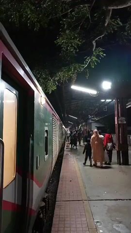 A train is stopped at a platform at night. The train is green and white with red trim. Several people are on the platform, some carrying luggage. Trees hang over the platform. Lights illuminate the platform. The camera is positioned on the platform, looking down the length of the train.