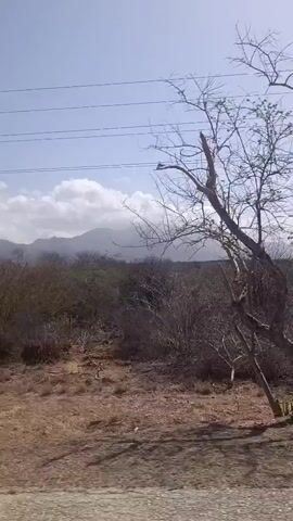 The video shows a landscape with a mountain range in the background under a sky with scattered clouds. The foreground consists of dry, reddish-brown land with sparse vegetation, including some bushes and dead branches. There are also power lines running across the sky. As the camera pans, a paved area with palm trees comes into view. The palm trees are swaying significantly, suggesting windy conditions.