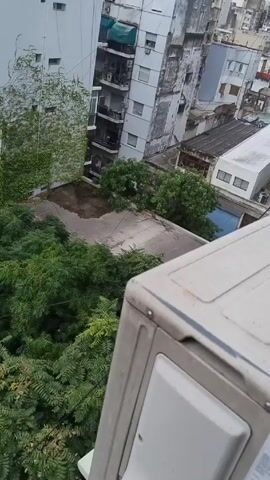 From an elevated position, possibly a balcony, the camera pans up to show a green, overgrown backyard, enclosed by buildings. A white air conditioning unit is visible in the lower right corner of the frame. The yard contains a small, circular pool covered with a dark blue tarp, surrounded by grass. A stone path leads towards a more overgrown area with various plants and a white tree trunk. Walls surrounding the yard are covered in climbing ivy. The architecture suggests an urban environment.