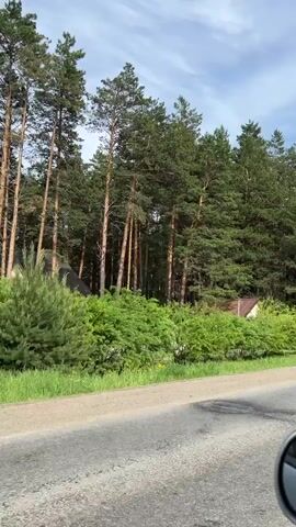 This is a first-person perspective video taken from inside a moving vehicle, likely a car. The camera is pointed to the right, showing a roadside view. On the right side of the road, there is a dense forest of tall pine trees. The forest floor is covered with green undergrowth. There are some man-made structures visible within the forest, including a house with a tiled roof and a fence, a small wooden shelter or shed, and an archway made of stone with a wooden beam. A grey asphalt road occupies the foreground, with a white line marking the edge. The sky is partly cloudy. The vehicle appears to be traveling on this road, moving alongside the forest.