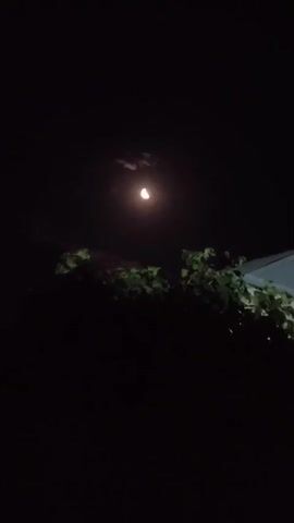 The video shows a night sky with a partial moon visible, partially obscured by clouds. In the foreground, there are dark silhouettes of trees and foliage. To the right, a portion of a roof and a light-colored wall are visible. The overall lighting is dim, consistent with nighttime. The scene appears to be outdoors, possibly in a residential area.