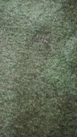 The video captures a low-angle shot of a green carpeted surface, possibly artificial turf, with several small sticks or debris scattered across it. A small brown lizard is visible in the lower left quadrant of the frame. As the video progresses, the perspective shifts upwards and to the right, revealing more of the surroundings. A black sandal with a white logo is seen in the lower right corner. In the background, people are partially visible, some wearing dark clothing and others in patterned dresses. The lighting suggests an outdoor evening or dimly lit indoor setting, with some sources of bright light present, possibly from overhead fixtures. The focus is primarily on the ground and the immediate area, with the background appearing blurred.
