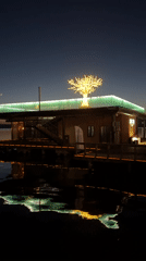 Illuminated waterfront building with decorative tree observed at twilight, Votkinsk