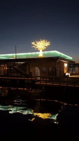 Illuminated waterfront building with decorative tree observed at twilight, Votkinsk
