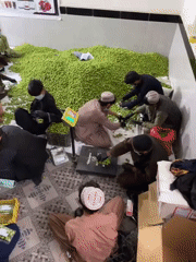 Men process green fruit in Kandahar warehouse facility