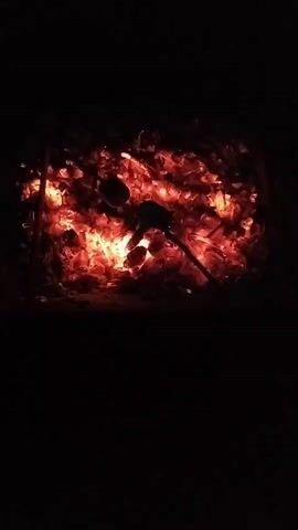 The video shows a close-up view of glowing embers and coals in a fireplace at night. Two skewers with dark-colored objects, likely marshmallows, are positioned over the heat. The objects appear to be rotating slowly, indicating they are being toasted. The background is dark, emphasizing the warm, vibrant glow of the fire.