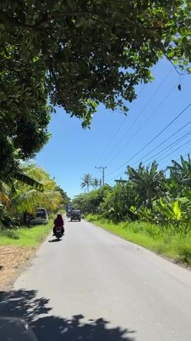 The video depicts a sunny day on a narrow road. The road is lined with green vegetation, including trees and grass. Power lines run above the road. A person on a motorcycle is traveling down the road, followed by a small van, a pickup truck, and a large dump truck carrying hay. The sky is clear and blue.