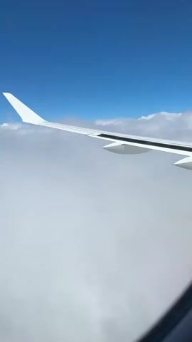 The video shows a view from an airplane window. The wing of the airplane is visible, extending to the left of the frame. Below the wing, there is a vast expanse of white clouds. Above the clouds, the sky is a clear, bright blue. The camera is stationary, offering a consistent perspective of the scene. No people are visible, and no specific actions or interactions are occurring. The environment is that of a clear day flight, with the airplane cruising above a cloud layer.