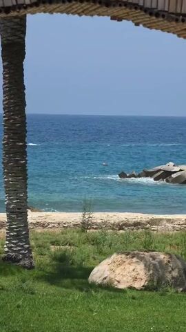 A static shot of a tropical beach scene through an overhead bamboo structure. In the foreground, a textured palm tree trunk stands to the left, and a large rock sits on a grassy area to the right. Beyond the grass, a sandy beach is visible, leading to the turquoise ocean. A small orange buoy floats in the water near a rocky breakwater on the right. The sky is a clear, bright blue.