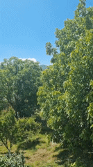 Rural Dagestani homestead on a summer morning, farm and family