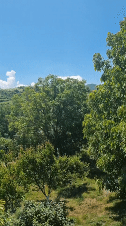 Rural Dagestani homestead on a summer morning, farm and family