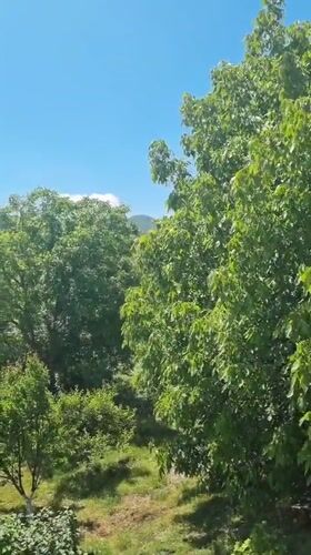 Rural Dagestani homestead on a summer morning, farm and family