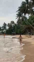 Sea turtles visit Talpe Beach as beachgoers observe wildlife