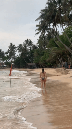 Sea turtles visit Talpe Beach as beachgoers observe wildlife