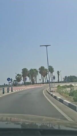 The video is a first-person perspective of a vehicle driving on a road. The road has a red and white pedestrian crossing. Palm trees are visible on the right side of the road, and there are traffic signs and streetlights. The sky is clear and blue. The vehicle is moving forward, and the camera is angled slightly downwards, showing the road and the dashboard of the car. The video is approximately 5 seconds long and shows a sunny day with good visibility.