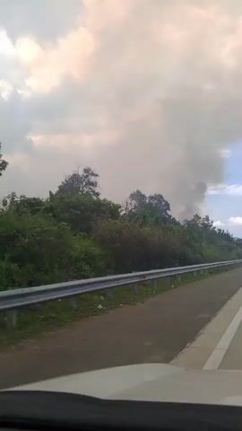 A road with a metal guardrail runs parallel to a line of trees and vegetation. A plume of dark smoke rises from behind the trees, obscuring the sky. The clouds are heavy and overcast. The perspective suggests the video is being recorded from a moving vehicle.