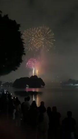 A nighttime scene shows a crowd of people silhouetted against the edge of a body of water. Across the water is a small, dark island with trees. In the sky above the island, fireworks are exploding, creating colorful bursts of light in shades of red, orange, and yellow. The fireworks reflect on the water's surface. A dark tree branch frames the left side of the video. The overall impression is of a festive celebration.