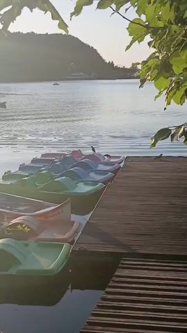 The video captures a peaceful scene at Pancharevo Lake in Bulgaria. The sun is low, casting a warm glow on the water, suggesting it's either early morning or late afternoon. The weather appears to be calm and clear, with gentle ripples on the lake's surface.

The main subjects are several colorful paddle boats lined up at a wooden dock. These boats, in shades of pink, green, and blue, are the primary objects in the foreground, inviting recreational activity on the water. Two birds, likely crows or similar-sized birds, are perched on the paddle boats, adding a touch of wildlife to the scene. One bird stands prominently on a pink boat, while another is a bit further back on a different boat. The background shows a lush green hillside with some buildings, possibly indicating a resort or residential area near the lake. A small boat is visible in the distance on the water.

The overall mood is serene and tranquil, evoking a sense of calm and leisure associated with a lakeside setting. The wooden dock, worn by time and weather, adds to the rustic charm of the location. The visible text on one of the boats reads "Панчарево 1," confirming the location as Pancharevo and indicating it might be a rental boat. The gentle sunlight and the quiet presence of the birds contribute to the peaceful atmosphere of the video.