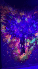 Black light art installation features glowing weapons in Batumi