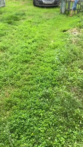 This is a short, vertically oriented video clip filmed outdoors in Maloarslangulovo, Russia. The scene is dominated by lush green grass, suggesting it's a rural or suburban area during the warmer months. In the background, a dark-colored sedan, possibly a Volkswagen, is parked on what appears to be a dirt road or driveway. A young child, wearing a light-colored outfit, is visible near a wooden gate on the right side of the frame, looking towards the car. Another person, partially obscured, stands near the car. The weather appears to be overcast or slightly hazy, with no direct sunlight visible. The overall impression is a casual, everyday moment in a quiet, rural setting. There is no discernible activity or event taking place beyond people and a car in a yard. The video is handheld and slightly shaky, giving it a candid feel. No text is visible in the frame.