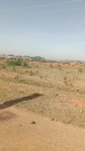 The video captures a daytime drive through a dry, semi-arid landscape. The terrain is characterized by reddish-brown soil with sparse patches of dry, yellowed grass and scattered small green bushes and trees. Low hills and distant structures, possibly part of a settlement, are visible in the background under a clear, bright sky.

At one point, the camera (likely mounted in a white vehicle, partially seen on the right) pans to show a paved, two-lane asphalt road stretching into the distance. A wide, unpaved shoulder of reddish-brown earth runs alongside the road, which is lined with numerous utility poles or streetlights. Other vehicles, including a dark-colored car, can be seen on the road in the distance. The view then returns to the expansive dry landscape, with a white utility pole passing quickly in the foreground, indicating continued movement. The scene suggests a journey through a rural or semi-rural area in a dry climate. No people or legible text are visible.