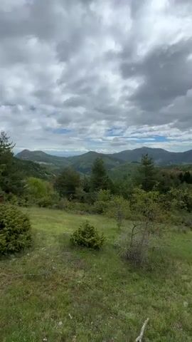 The video shows a landscape scene in a mountainous region. The foreground features a grassy hillside with scattered shrubs and small trees. In the midground, there is a dense forest covering the slopes of rolling hills. The background reveals a series of mountain ranges stretching into the distance, partially obscured by a cloudy sky. The overall impression is one of a vast, natural landscape under a dramatic, overcast sky.