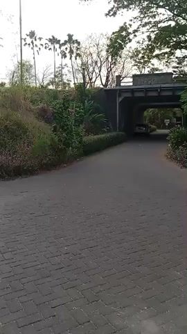 The video shows a paved road with cobblestone on the left side. A car is visible driving under a bridge. Trees and vegetation line the sides of the road. A sign with a red circle and a person icon is visible on the right side of the road. The sky is overcast.