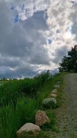 A vertical video begins with a shot looking across a gravel path lined with rocks and dense green grass towards a calm body of water. In the distance, there are trees and some buildings. The sky is filled with dramatic, gray and white clouds. The camera then pans slowly to the left, revealing more of the water and the reeds growing along its edge. The scene remains focused on the natural landscape, with the water and sky being the dominant elements. There are no people or animals visible in the video.