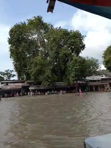 A wide shot captures a murky river with people wading and playing in the water. Along the riverbank, there are several stilted buildings, some of which appear to be shops or restaurants, with people sitting at tables or walking around. Lush green trees dominate the background, and a white bridge is visible in the distance. The sky is overcast with white clouds. The video appears to be filmed from a boat, as the edge of a canopy with red and blue fabric is visible in the foreground.