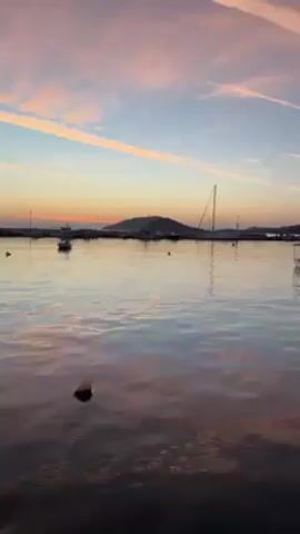 The video shows a tranquil harbor at sunset. The sky displays streaks of pink and orange against a blue backdrop, reflecting in the calm water. Several small boats are moored in the harbor, marked by buoys. In the background, a low, rounded hill is silhouetted against the horizon.