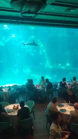 The video shows a restaurant with tables arranged in front of a large aquarium. Diners are seated at the tables, some eating and conversing, while others look at their phones. A shark and other fish swim in the aquarium, which has a bright blue background. The lighting in the restaurant is dim, with individual candles on each table. The room appears to be enclosed, and the decor includes what appear to be nautical or submarine-themed design elements.