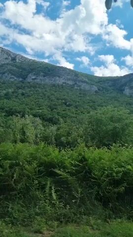 The video shows a view from a moving vehicle looking out at a lush green mountain landscape. The foreground is filled with dense foliage and vegetation, including ferns and other leafy plants. As the vehicle moves, the trees and bushes shift in the frame. In the background, a large, green, forested mountain rises up. The mountain has rocky outcrops visible near its peak. The sky above is a vibrant blue with scattered white, fluffy clouds. The perspective suggests the viewpoint is low and moving parallel to the ground.