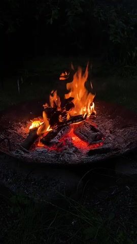 A nighttime scene shows a campfire burning in a metal fire pit. Flames lick upwards from burning logs, casting a warm, orange glow on the surrounding embers and ash. The fire pit is surrounded by dark foliage and grass.
