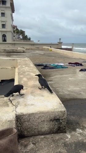 Early morning life observed across Colombo neighborhoods