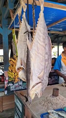 The video shows a market stall with two large dried fish hanging from the ceiling. In the background, there are bunches of bananas and a person in an orange and blue shirt. The stall appears to be outdoors, with a blue tarp overhead. There is also a pile of small fish on the counter.