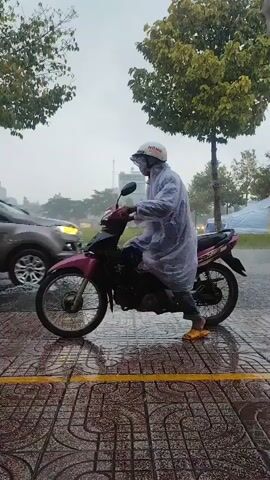 The video shows a person riding a scooter on a rainy day. The person is wearing a white helmet and a transparent raincoat. The scooter is pink and black, and it is parked on the side of the road. The road is wet and there are trees and buildings in the background. Another scooter is visible in the foreground. The video appears to be filmed from a low angle, close to the ground.