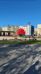 Sunny afternoon scenes captured across parks and walkways in Tobolsk