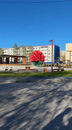Sunny afternoon scenes captured across parks and walkways in Tobolsk