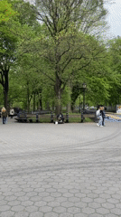 Saxophonist performs on park bench in New York