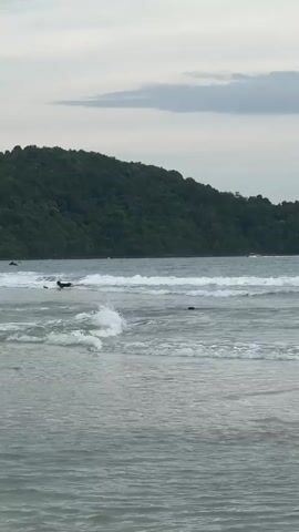 The video opens with a wide shot of a beach with gentle waves. The water is a muted greyish-blue. In the background, a lush green, tree-covered hill rises steeply from the shoreline. The sky is overcast and a pale grey. The focus then shifts to the foreground, where several people are visible in the water. A young person in a pink shirt and dark shorts walks through the shallow water, facing away from the camera. Further out, a person is lying on a surfboard. The camera then pans slightly to the left, showing more people walking along the beach in the distance. A young man in light-colored shorts walks towards the camera through the shallow water. The waves are consistently breaking on the shore. The scene appears to be a calm, overcast day at a popular beach.