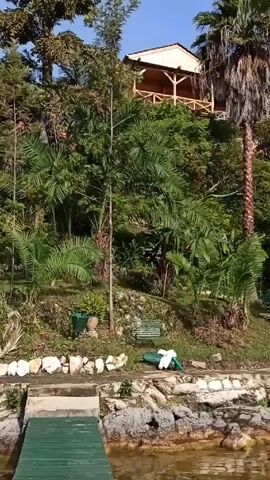 The video shows a tranquil view of a lush, tropical landscape. The camera pans slowly from left to right, beginning with a close-up of a green wooden dock that leads into a body of water. The water is calm and reflects the greenery around it.  The shoreline is rocky, with sections of stone steps leading up to a grassy bank.  

On the bank, there's a green bench with a white towel draped over it. Various types of tropical vegetation cover the hillside, including palm trees and other leafy plants.  In the upper left corner of the frame, a wooden structure with a balcony is partially visible, nestled among the trees.  As the camera pans right, more of the shoreline is revealed, with a dirt path winding through the greenery.  A yellow sign is visible, positioned among the plants. 

The overall impression is that of a serene, natural environment, possibly a botanical garden or a park bordering a lake. The sky is blue and clear. There are no people visible in the scene.